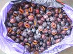 Frozen plum without kernel